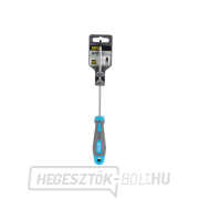 Phillips csavarhúzó, PZ 0x60mm, S2 Előnézet 