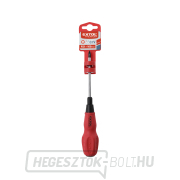 Phillips csavarhúzó PZ, PZ 1x100mm Előnézet 