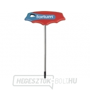 T-key TORX, T 50, L 250mm T-key TORX, T 50, L 250mm gallery main image