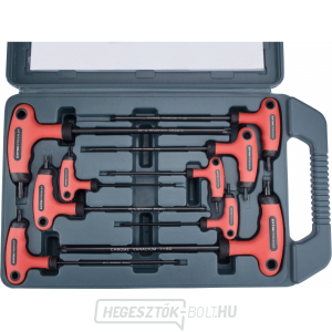 T-vezetékek TORX - 9db gallery main image