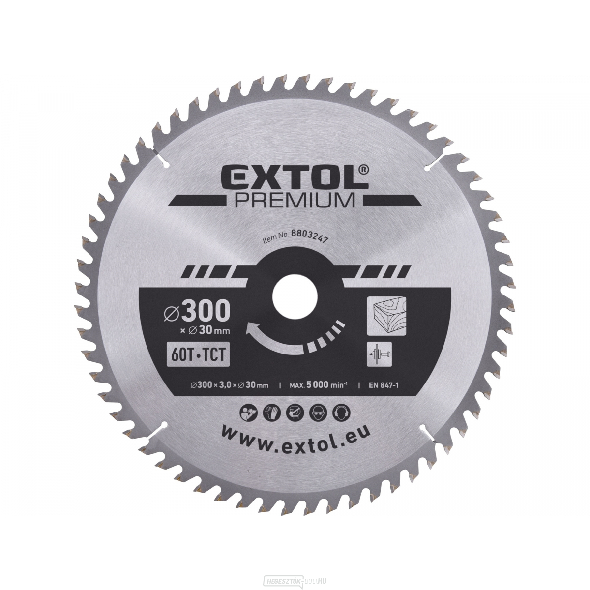 Fűrészlap SK pengékkel 300x2,2x30mm, 60T