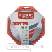 Fűrészlap SK pengékkel 300x2,2x30mm, 60T Előnézet 