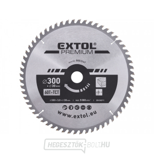 Fűrészlap SK pengékkel 300x2,2x30mm, 60T Fűrészlap SK pengékkel 300x2,2x30mm, 60T gallery main image
