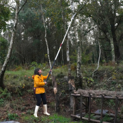 Teleszkópos fűrész Hayauchi 4900-6.5  Előnézet 