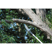 Teleszkópos fűrész Hayauchi 4900-6.5  náhled