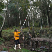 Teleszkópos fűrész Hayauchi 6300-6.5 Előnézet 