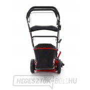 Benzines fűnyíró meghajtással VeGA 46 HWXV 6in1 Benzines fűnyíró meghajtással VeGA 46 HWXV 6in1 náhled