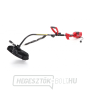 Elektromos trimmer VeGA VE241  Elektromos trimmer VeGA VE241  náhled