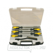 200mm-es reszelőkészlet műanyag tokban - 6db gallery main image