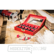 Fa alakú vágókések SK szeletekkel, 10 darabos készlet Fa alakú vágókések SK szeletekkel, 10 darabos készlet náhled