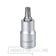 Dugókulcsos TORX, 1/2 Dugókulcsos TORX, 1/2
