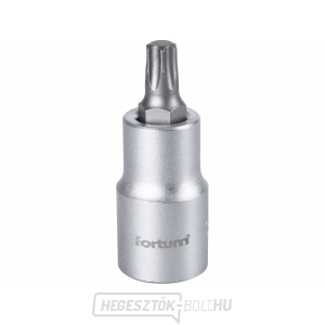 Dugókulcsos TORX, 1/2 Dugókulcsos TORX, 1/2