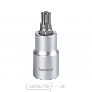 Dugókulcsos fej TORX, 1/2 Dugókulcsos fej TORX, 1/2