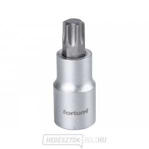 Dugókulcsos fej TORX, 1/2 Dugókulcsos fej TORX, 1/2