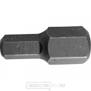 Allen hegy, szár 8mm (5/16 Allen hegy, szár 8mm (5/16