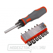 Csavarhúzó hegyekkel, CrV - 20db  Csavarhúzó hegyekkel, CrV - 20db  gallery main image