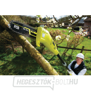 Elektromos metszőfűrész Ryobi RPP 755 E Előnézet 