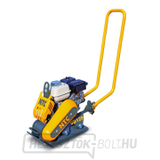 Egyirányú rezgőlemez  Egyirányú rezgőlemez