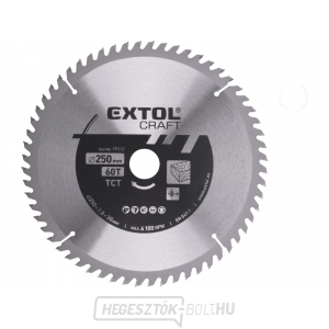 Fűrészlap SK pengékkel, 250x1,8x30mm 60T Fűrészlap SK pengékkel, 250x1,8x30mm 60T gallery main image