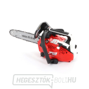 Egykezes metszőfűrész VeGA TCS 2600 PROFESSIONAL Előnézet 