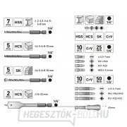 Fúrófejek hatszögletű szárral és hegyekkel, HSS, CrV - 40 db Előnézet 