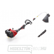 VeGA benzines fűnyíró VE24250 náhled