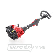 VeGA benzines fűnyíró VE24250 náhled