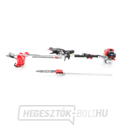 VeGA multifunkciós kefekötő BCM520 Multi 4 az 1-ben Előnézet 