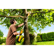 RAPS 2040 - metszőfűrész 40 V-os akkumulátoros motorral Előnézet 