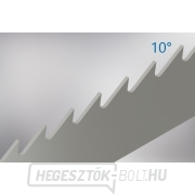 Bimetál fűrészszalag PILANA 1435x13x0,65/6z M42 - 420 REGULAR PLUS gallery main image