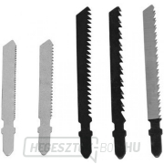 Cserélhető fűrészlapok (5 db) STS 650 E és STS 800 EL fűrészgépekhez Cserélhető fűrészlapok (5 db) STS 650 E és STS 800 EL fűrészgépekhez gallery main image