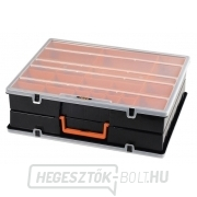 Műanyag szervező 420x350x125mm kétoldalas - 44 pozíciókkal Műanyag szervező 420x350x125mm kétoldalas - 44 pozíciókkal gallery main image