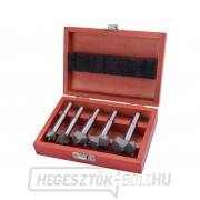 Fafúrómarószegek SK szeletekkel, átmérő 15-20-25-30-35mm, szár 8-10mm - 5 db Fafúrómarószegek SK szeletekkel, átmérő 15-20-25-30-35mm, szár 8-10mm - 5 db gallery main image