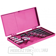 Akkus fúrócsavarhúzó, rózsaszín, 12V Li-ion, 1300mAh - zacskóba csomagolva Akkus fúrócsavarhúzó, rózsaszín, 12V Li-ion, 1300mAh - zacskóba csomagolva náhled