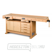 Asztalosgyalu HB 2010 Előnézet 