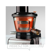 SJ250ST alacsony fordulatszámú csavaros gyümölcscentrifuga náhled