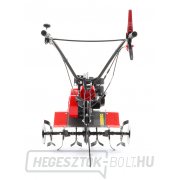 Kultivátor PUBERT ECOMAX 65B C2 náhled