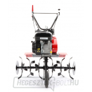 Kultivátor PUBERT ECOMAX 65B C2 náhled