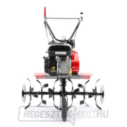 Kultivátor PUBERT ECOMAX 65B C2 náhled