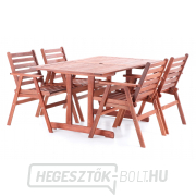 MONROO VeGA 4 náhled