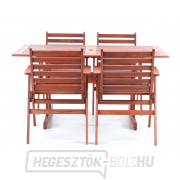 MONROO VeGA 4 náhled