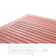 MONROO VeGA 4 náhled