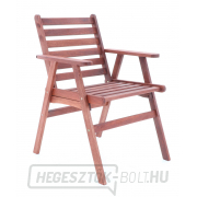 MONROO VeGA 4 náhled