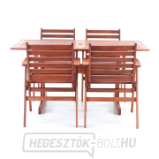 MONROO VeGA 4 náhled