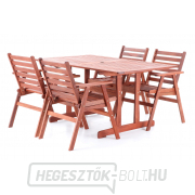 MONROO VeGA 4 MONROO VeGA 4 gallery main image