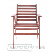 MONROO COMBI VEGA 6 náhled