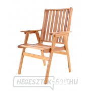 NEVADA VeGA 6 náhled