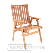 NEVADA VeGA 6 náhled