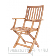 PRINCE VEGA 4 náhled