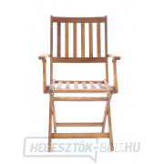 PRINCE VEGA 4 náhled